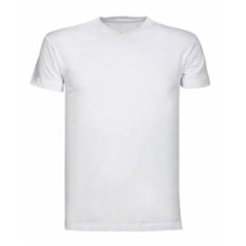 ROMA - koszulka t-shirt - 6 kolorów - S-XXL